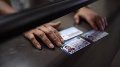 PDH presenta amparo para que se garantice entrega de licencias de conducir
