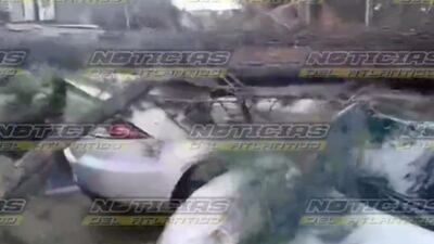 VIDEO. Enorme árbol cae sobre varios carros en zona 18