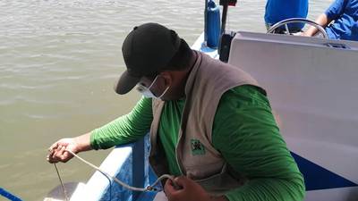 Persiste pesca ilegal en río Dulce y Lago de Izabal