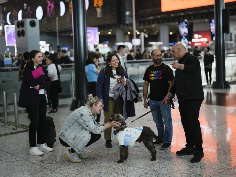 Cómo el Aeropuerto de Estambul está ayudando a los usuarios que sufren ansiedad durante los vuelos