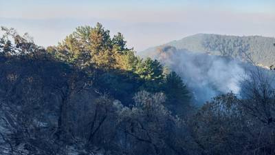 Incendios forestales han consumido mil 856 hectáreas durante temporada 2023-2024