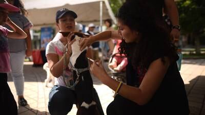 Lanzan jornada de vacunación antirrábica para mascotas