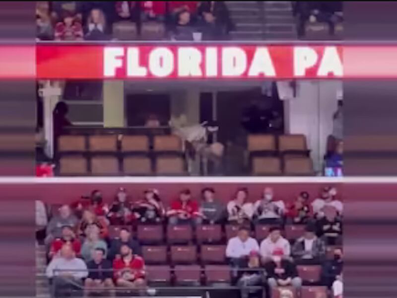 VIDEO. Rapero fue grabado en pleno “acto sexual" en un estadio de hockey