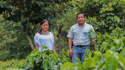 Fondo Verde del Clima aprueba US$66.7 millones para agricultores de Guatemala