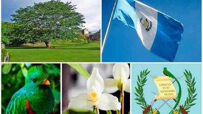La belleza y significado de los 7 símbolos patrios de Guatemala