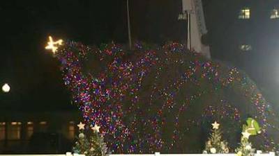 Captan instante en que árbol de Navidad de la Casa Blanca se derrumba