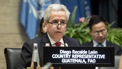 &#34;La ley de agricultura familiar y huertos urbanos para evitar la zozobra&#34;, Diego Recalde, representante interino para Guatemala de la FAO