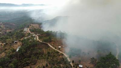 Bombero forestal pierde la vida tras incendio en Quiché