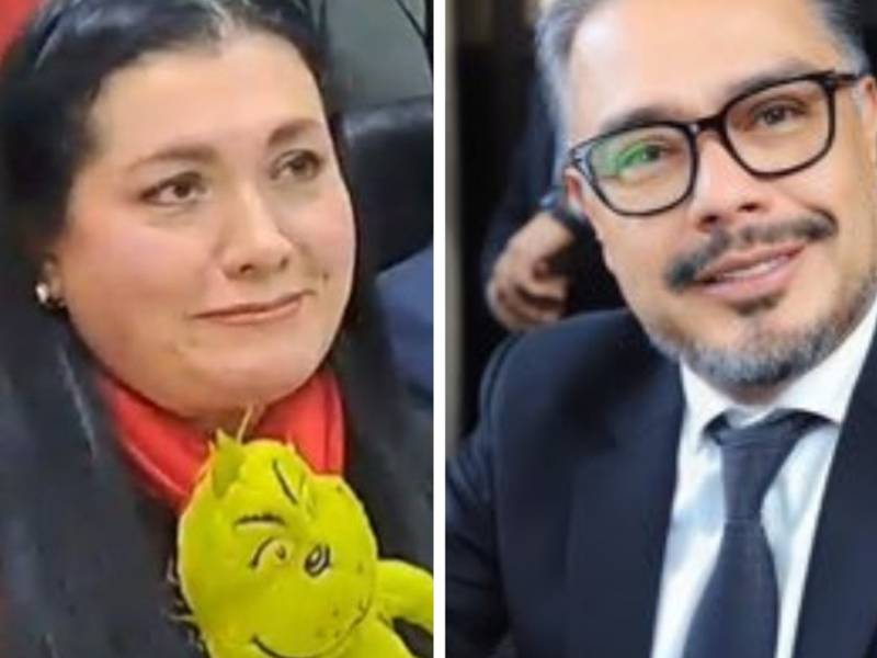 Diputado critica a presidenta del TSE por regalar “Grinch” al jefe de la FECI