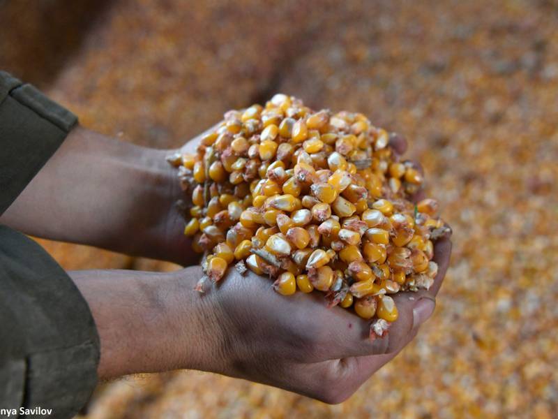 FAO: Países más vulnerables del mundo pagan más por menos alimentos