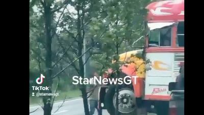 VIDEO. Piloto, ayudante y pasajeros de bus derriban árboles para retornar en San Lucas