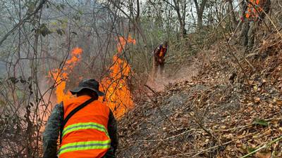 Temporada de incendios: El fuego ha consumido más de mil hectáreas de terreno a nivel nacional