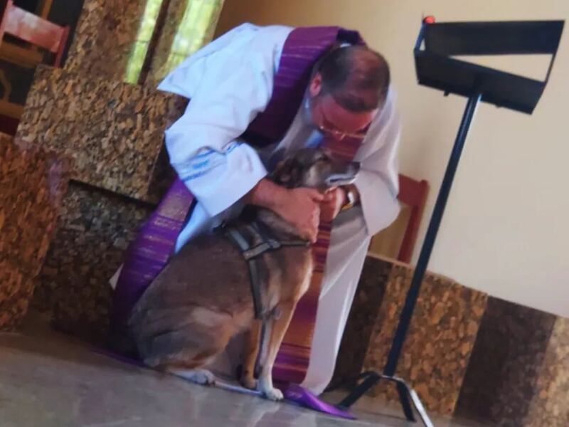 Sacerdote rescata perritos de la calle y aprovecha misas para ponelos en adopción