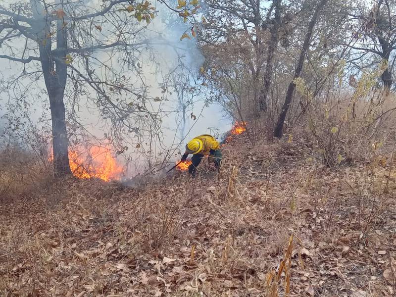 Se mantienen activos al menos 20 incendios forestales a nivel nacional