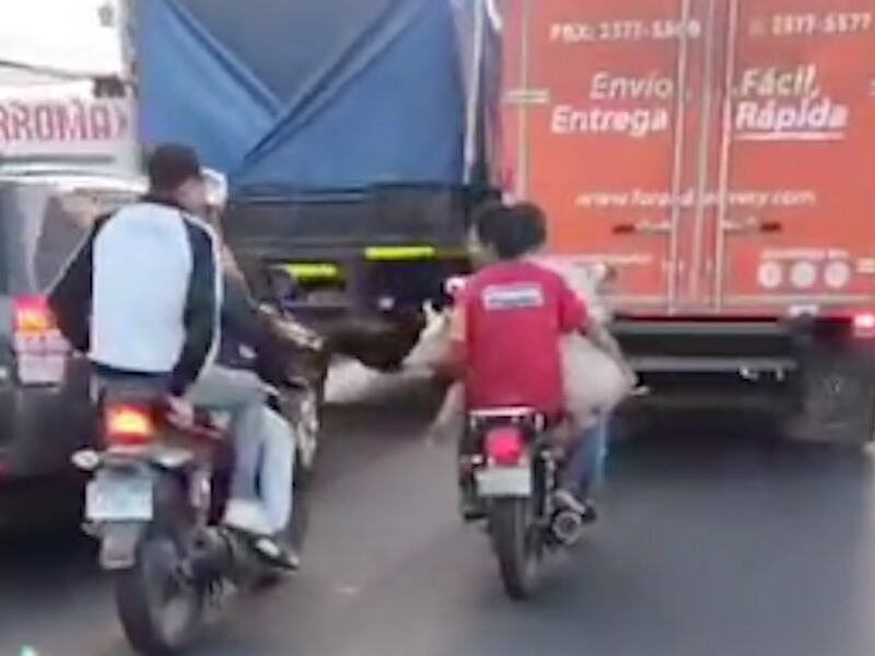 VIDEO. Hombres trasladan a enorme cerdo en moto entre la zonas 6 y 18