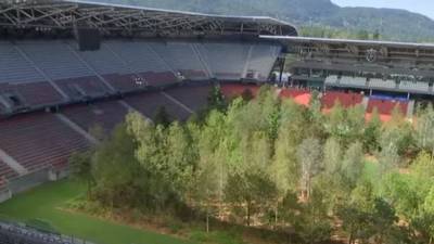 VIDEO. Convierten en bosque un estadio de futbol
