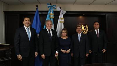 Misión de OEA se reúne primero con magistrados del TSE, Ejecutivo niega detalles de visita
