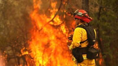 La CONRED reporta 15 incendios forestales activos