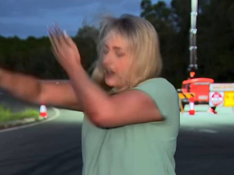 Viral momento cuando un mosquito ataca a una reportera en vivo