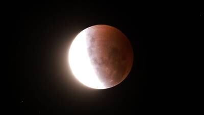 Eclipse lunar total de noviembre: fecha, hora y cómo verlo