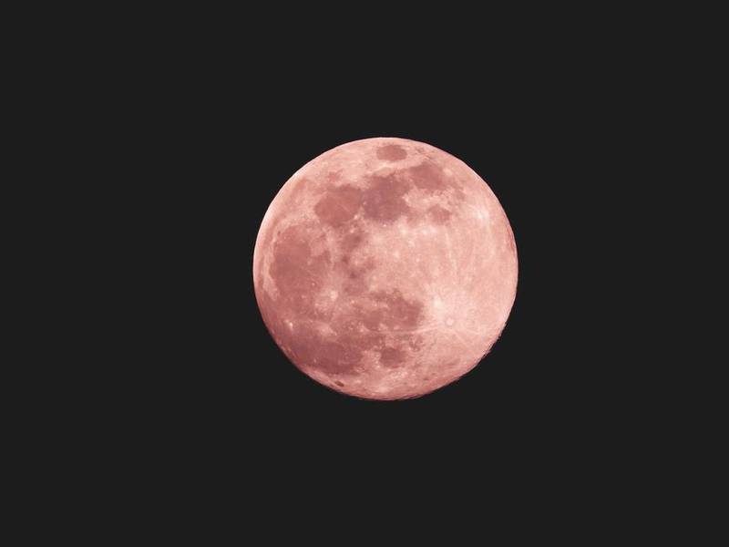 ¡Luna Rosa en abril! Esta es la fecha para visualizar el maravilloso evento astronómico