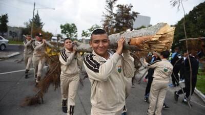 EN IMÁGENES. Voluntarios reforestan área del bulevar Juan Pablo II en donde fueron talados 52 árboles