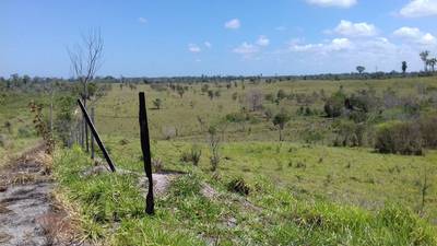 Multan a persona que usurpaba 90 hectáreas en la Reserva de Biosfera Maya