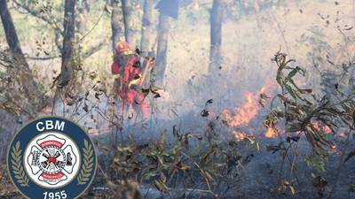 Evitan que incendio forestal en ruta al Atlántico se expanda a viviendas