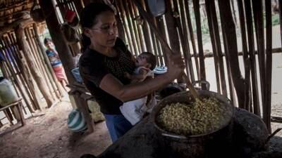 PDH: Guatemala enfrenta una de las peores crisis de desnutrición