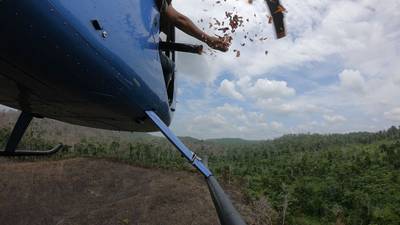 Realizan "lluvia de semillas" en la Reserva de la Biosfera Maya
