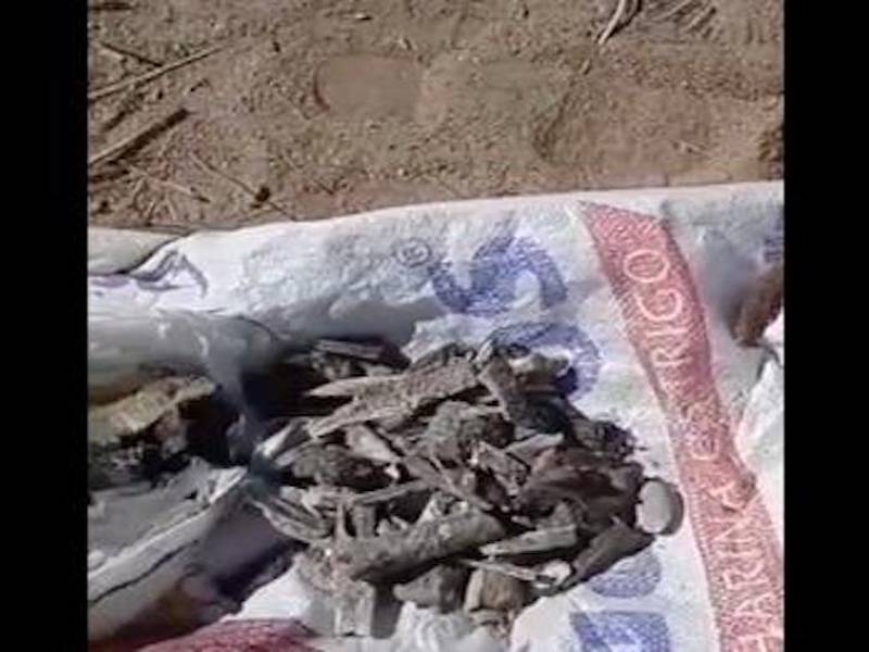 Video: descubren “campo de exterminio del narco” con 50 cuerpos calcinados
