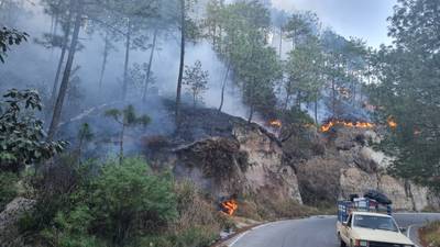 Conred reporta que se mantienen 27 incendios forestales activos a nivel nacional