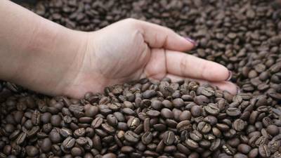 Efecto confinamiento: Crece demanda del café tostado guatemalteco en mercados internacionales