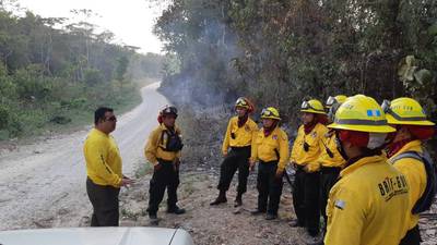 Incendios ceden en Guatemala, pero suman 10 mil hectáreas de bosque arrasadas