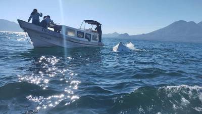 VIDEO. Momento en que rescatan a turistas en el lago de Atitlán
