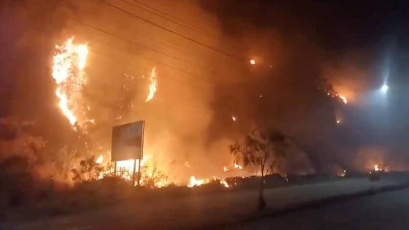 Incendio forestal en San José Villa Nueva amenaza varias viviendas
