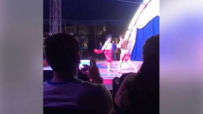 VIDEO. La pelea de Neto Bran y Tres Kiebres ya se puede disfrutar en el circo