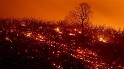FOTOS. Los incendios en California, un infierno sin control