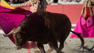 Polémica en redes por muerte del torero Iván Fandiño