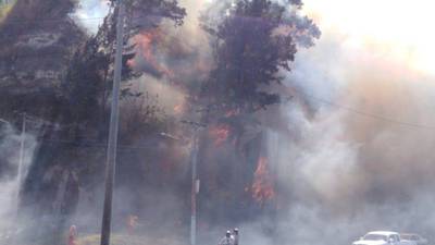 Tres departamentos han sido más afectados por los incendios forestales