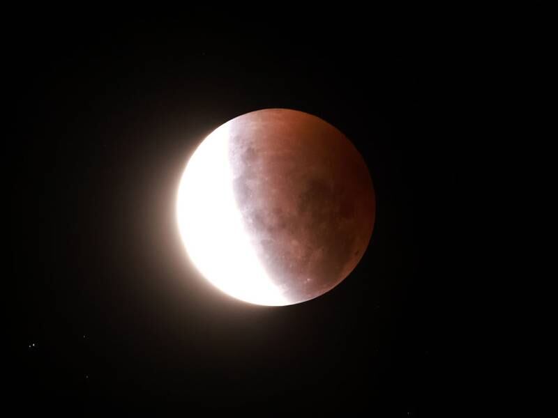 Eclipse lunar total de noviembre: fecha, hora y cómo verlo