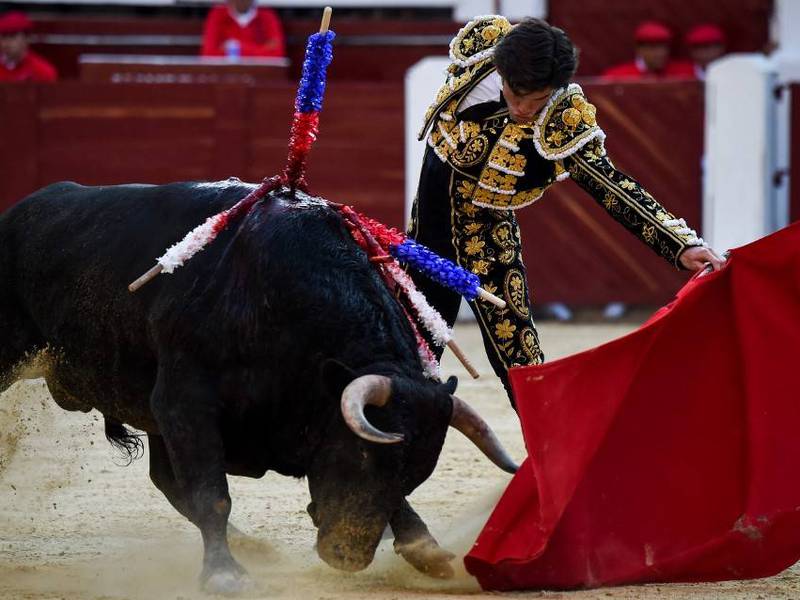 Bogotá prohibirá que los toros sean maltratados o que mueran en las corridas