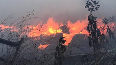 Combaten incendio forestal en Lomas de San Jacinto