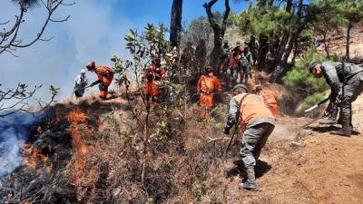 Guatemala lanza estrategia para el manejo de incendios forestales