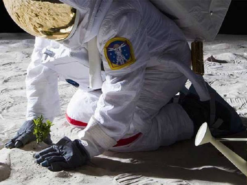 Razones del por qué la NASA llevará plantas a la Luna en 2026