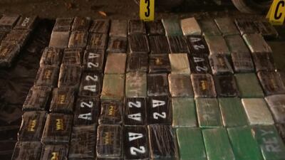 Izabal: Fuerzas de seguridad decomisan 515 paquetes de cocaína