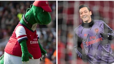 La mascota del Arsenal es rescatada por la solidaridad de Mesut Özil