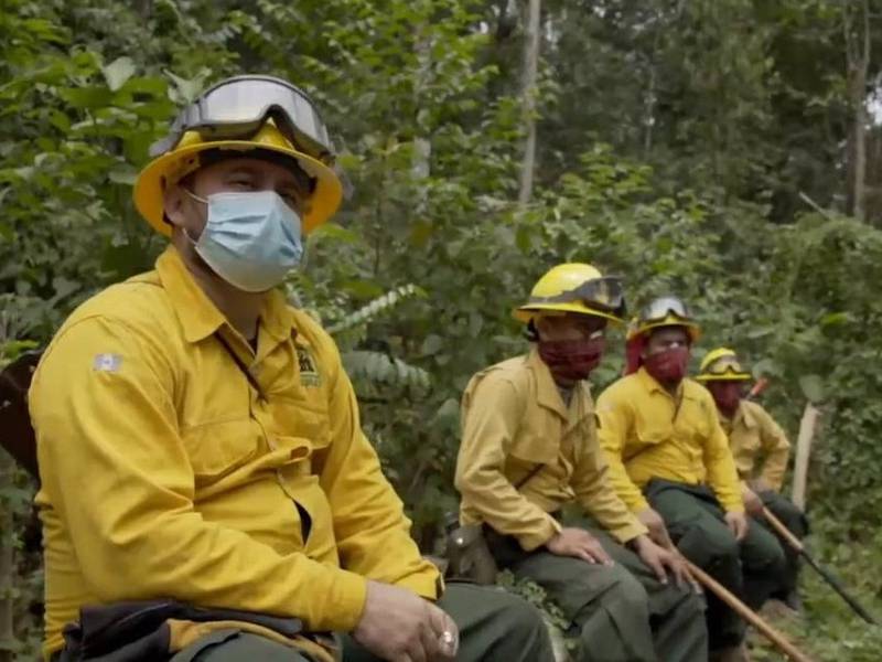 Incendios forestales en Petén dejan más de 2 mil hectáreas dañadas