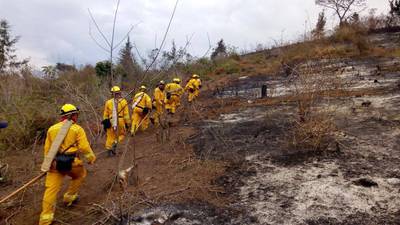 Temporada de incendios forestales ha consumido alrededor de 7 mil hectáreas de bosque