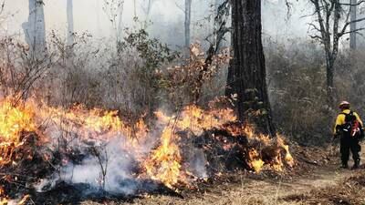 Presidente Giammattei pide ayuda a otros países para sofocar incendios forestales
